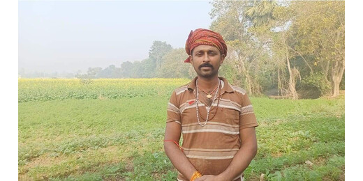 खेती पर संकट के बादल : लखीसराय में रोग, बाढ़ और आवारा पशुओं से त्रस्त किसान